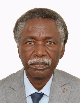 Godfrey biemba photo